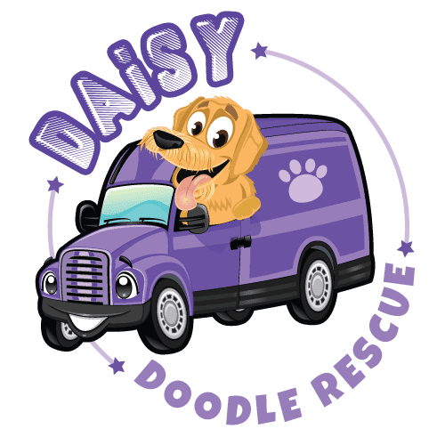 Daisy Doodle Rescue