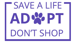 adopt don't shop