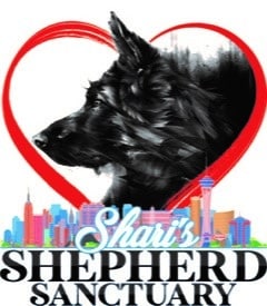 Shari’s Shepherd Sanctuary